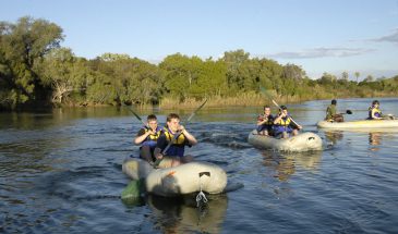 Canoeing Safaris (Half or Full day)