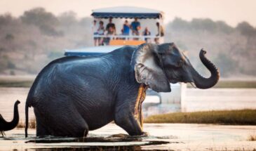 5-Day Victoria Falls and Chobe National Park Tour