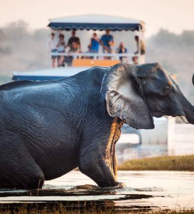 Chobe National Park